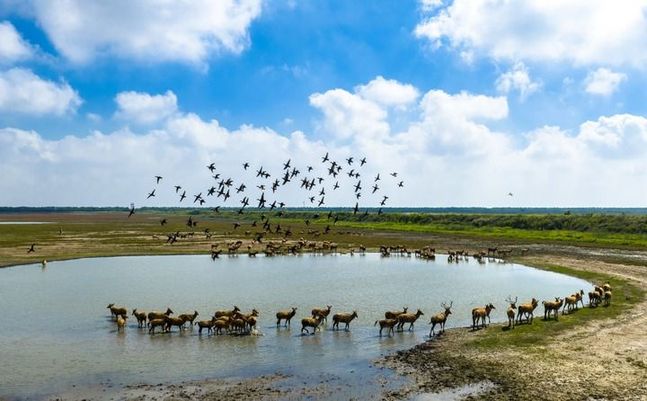 以习近平同志为核心的党中央引领中国经济社会高质量发展迈向新境界