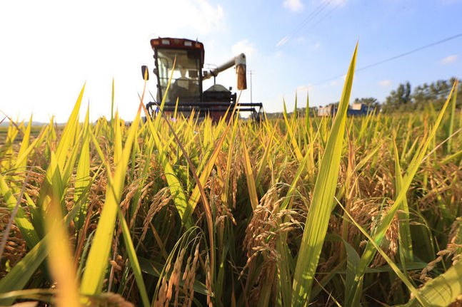 以习近平同志为核心的党中央引领中国经济社会高质量发展迈向新境界