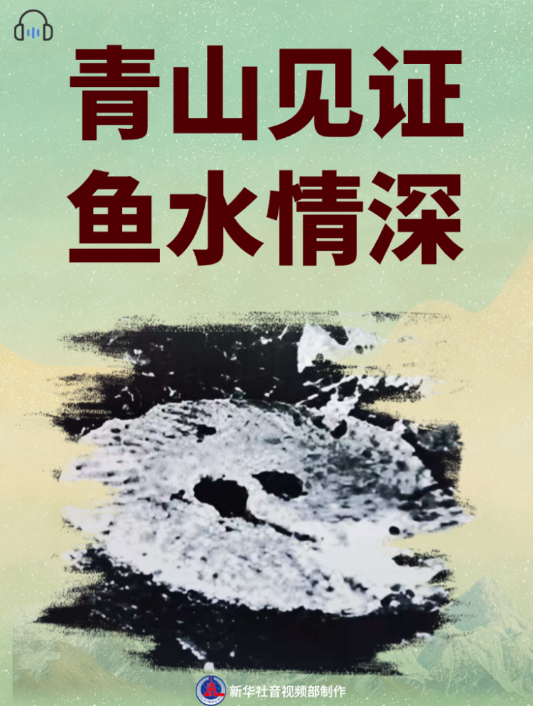 这不只是故事,更是历史