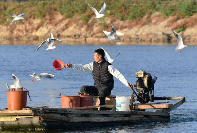 江山壮阔万象新——习近平总书记引领中国式现代化新征程